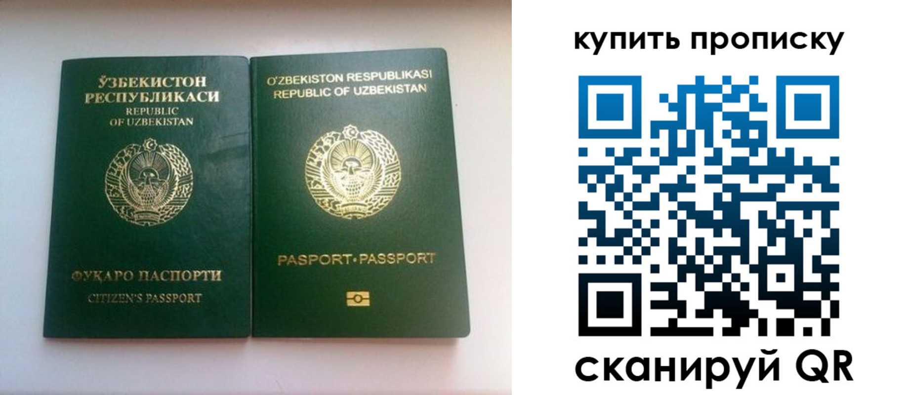 временная прописка в Курске